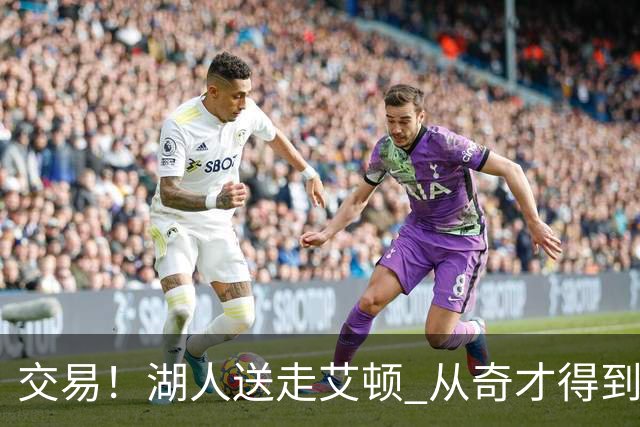 交易！湖人送走艾顿 从奇才得到哈迪+2个次轮签