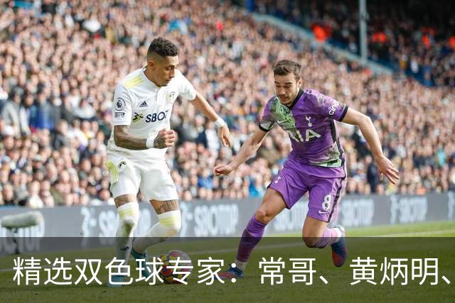 精选双色球专家：常哥、黄炳明、陈哲宇同中781万